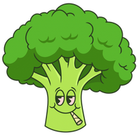 BROCOLI DISPENSARIO